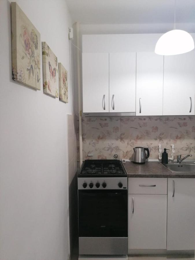 Laroka House Cosy And Modern Apartment Universitate-City Centre 布加勒斯特 外观 照片